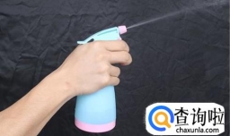 养红边椒草有哪些方法和技巧？