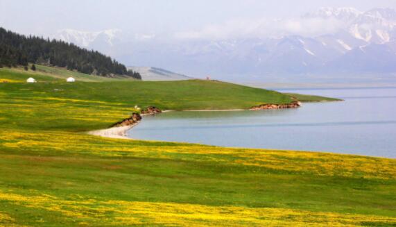 面积最大的省是哪里