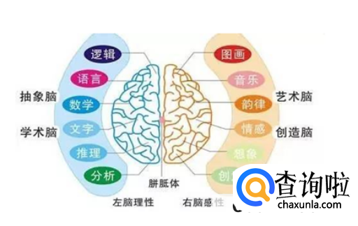 如何训练大脑