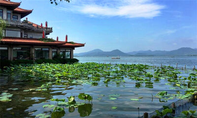 杭州主城区是哪个区