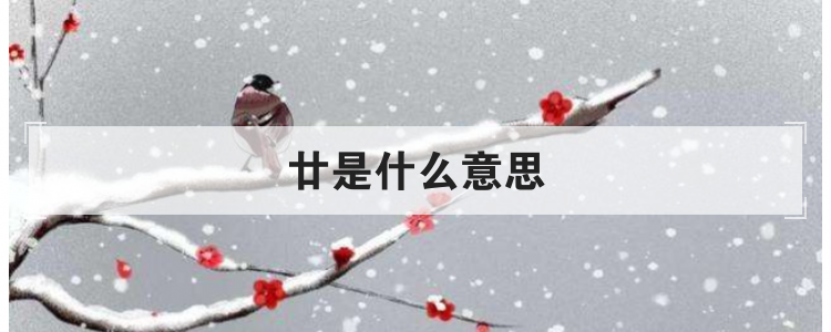 廿是什么意思