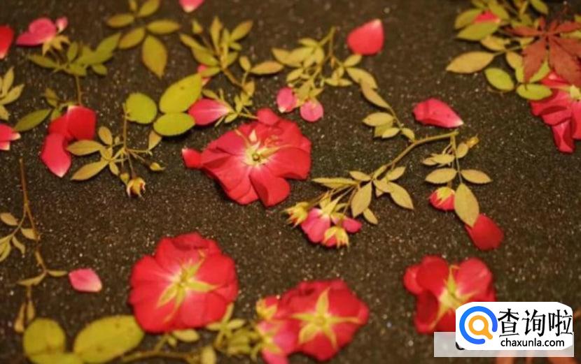 如何制作干花