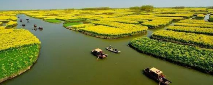 鱼米之乡是指哪里