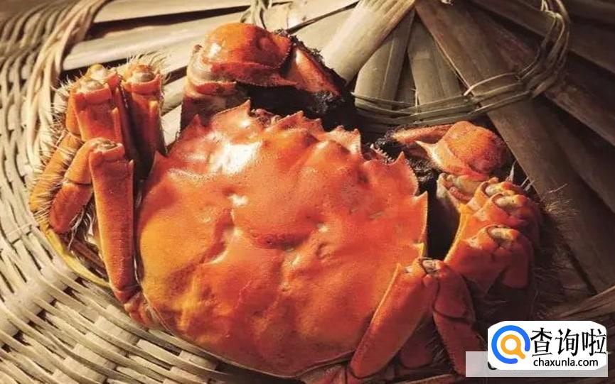 蟹八件怎么用