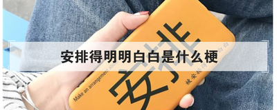 安排得明明白白是什么梗