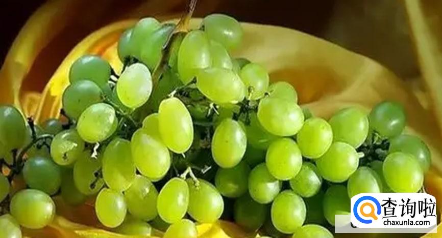 提子有哪些食用功效呢