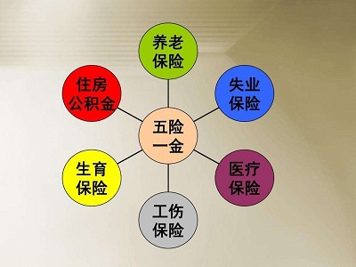 社保和五险一金的区别