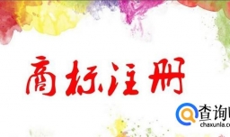 委托商标代理注册国际商标流程是怎样的？