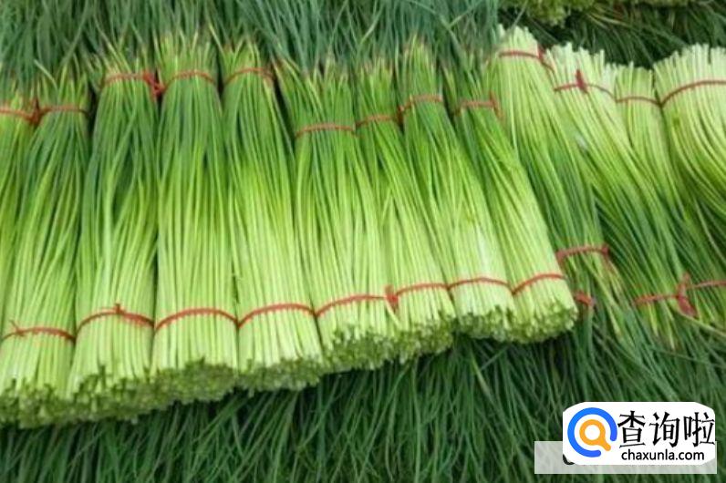 蒜苔怎么择菜