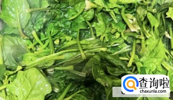 菠菜怎么做好吃