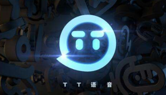 tt语怎么使用