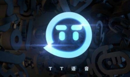 tt语怎么使用
