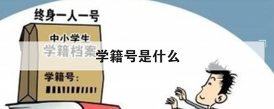 学籍号是什么