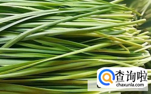 韭菜鸡蛋饺子馅怎么调好吃br