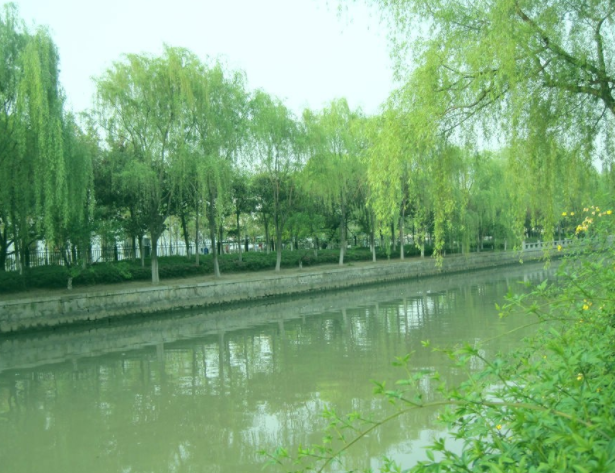 春风又绿江南岸的绿什么意思