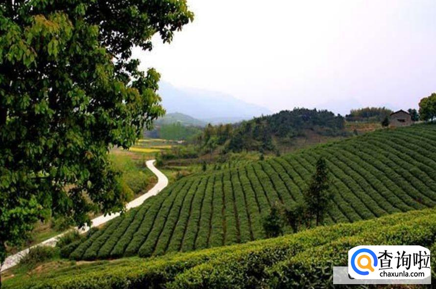 户口怎样才能迁回原地