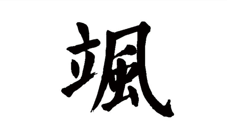 飒是什么意思