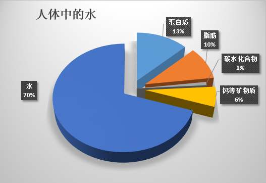 人体内有多少水