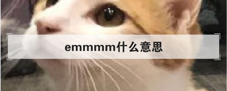 emmmm什么意思
