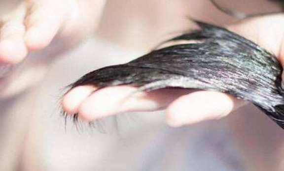 护发素排行榜前十名