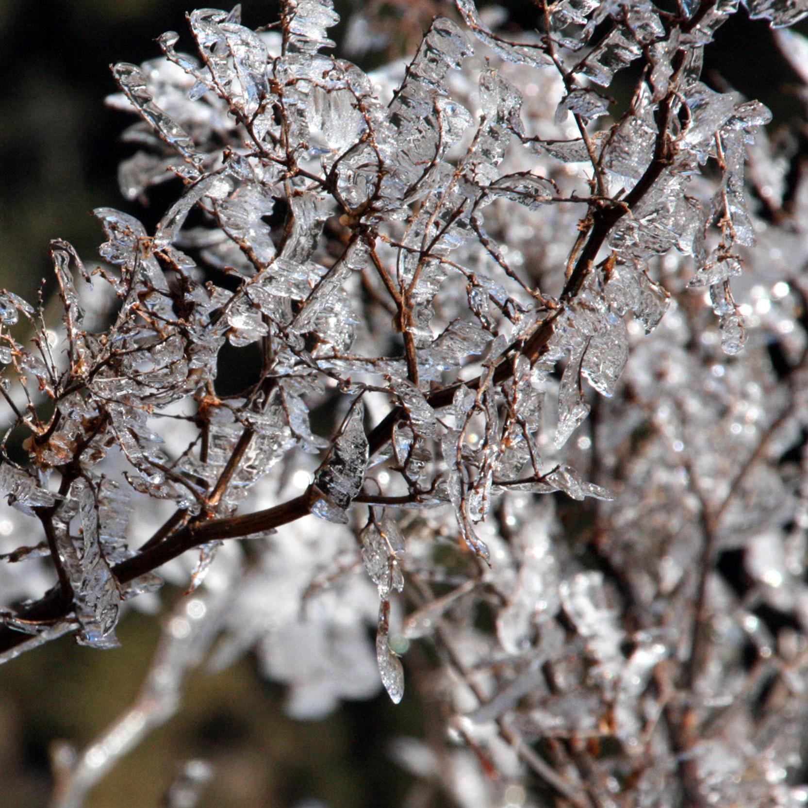 冰晶是什么东西