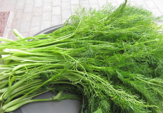 荤香是什么